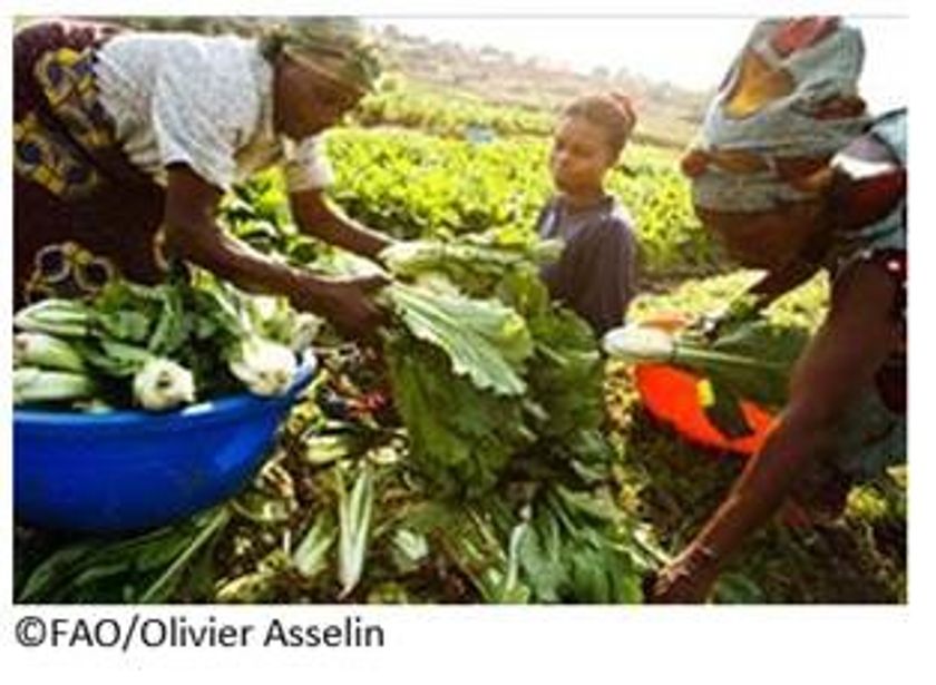 ダニエル・グスタフソン国連食糧農業機関（FAO）事務局次長講演会
「持続可能な社会を支える農業 ～飢餓をゼロに・FAOと日本の役割～」
1月2９日（月）に、駿河台キャンパスで開催