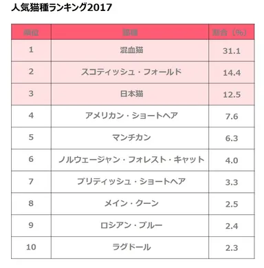 人気猫種ランキング