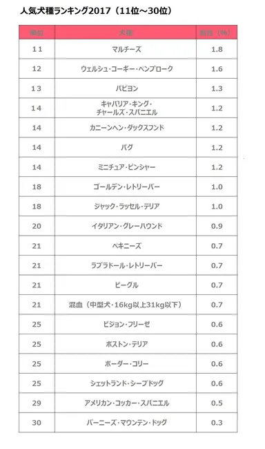 人気犬種ランキング（11位～30位）