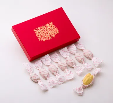 ■ペカンショコラ・キャラメル・ア・ラ・トリュフ　8個入 1,000円(税別)/16個入 2,000円(税別)