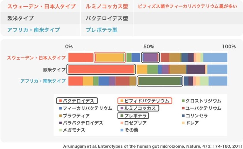 内 細菌 叢 腸