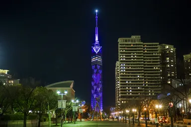 無数のハートがきらめきます