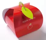 信州りんご専用ケース