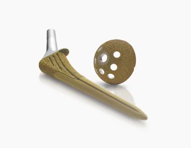 AG-PROTEX を応用した人工股関節