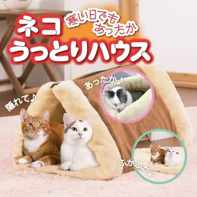 ネコうっとりハウス 2