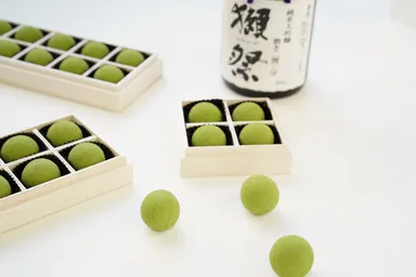 「獺祭抹茶トリュフ」イメージ 3
