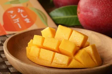 みしまマンゴー