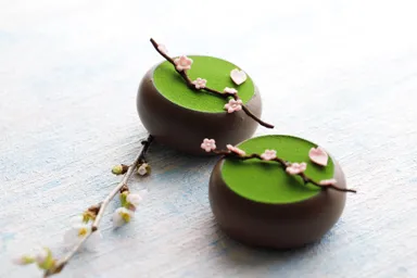 フラワーガーデン