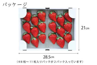 販売は2パックセットです