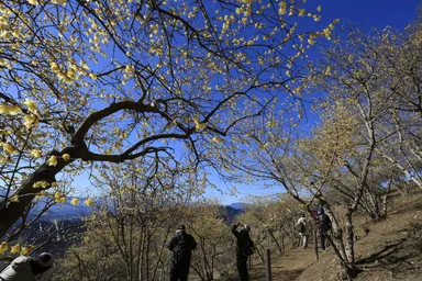 ハイキングイメージ(1)