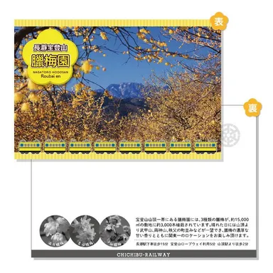 ロウバイポストカードイメージ