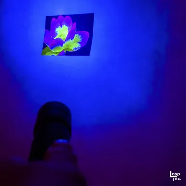 ポストカードにブラックライト