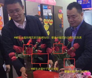 家電量販店100店舗で冷蔵庫を封印活動バラの検証1