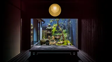 本店茶寮　坪庭