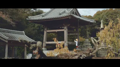 Undiscovered Tokushima , The Real Tokushima キャプチャ(4)