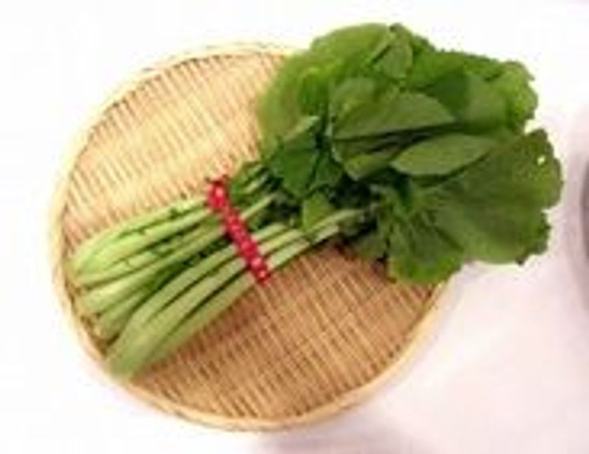 ～生徒がおもてなしをします～
『大和野菜列車～味覚で感じる大和の伝統野菜～ツアー』を実施
　近鉄・奈良県立磯城野高等学校共同企画