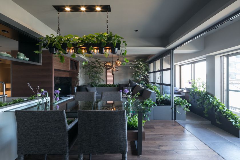 青山フラワーマーケット運営のパーク・コーポレーションと
グローバルベイス
緑と暮らすために特化した本格リノベーションプラン
「GREEN DAYS」2018年2月3日より提供開始