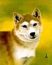 展示作品一例　「犬」油彩画　牧野 文幸(岡山県／口で描いた絵)