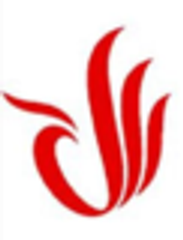 2Dファイヤー・ジャパン株式会社のロゴ