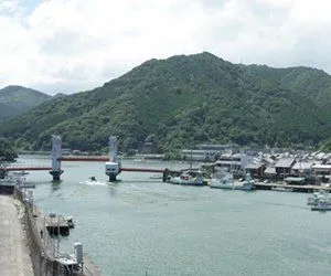 海の恵みの堪能