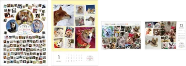 JCCSリリース画像2