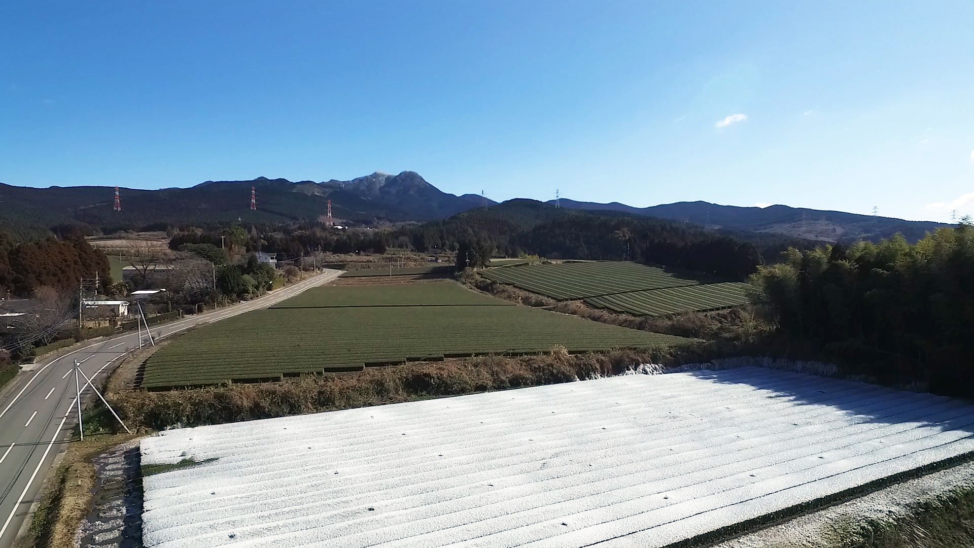 熊本 菊池市旭志の山麓に氷の世界が出現 凍った茶葉が作り出す30アールの 真っ白茶畑 が誕生 菊池市役所のプレスリリース