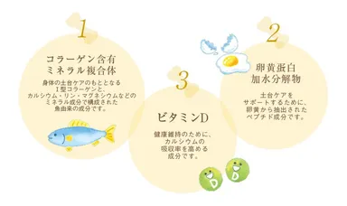 成分イメージ図