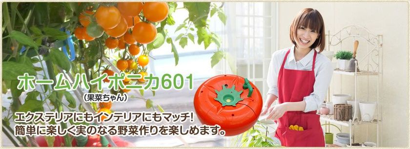 家庭用水耕栽培装置 ホームハイポニカ601 果菜ちゃん　水耕栽培キット　家庭菜園 ホームハイポニカ 601 果菜ちゃん｜種（タネ）,球根,苗,資材