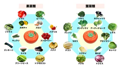 育てられる果実・野菜例