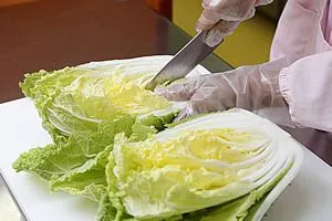 包丁だけでカットした白菜