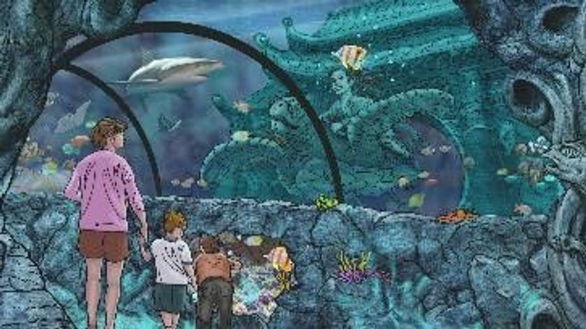 『見て、さわって、学んで』体験できる水族館
『SEA LIFE Nagoya』