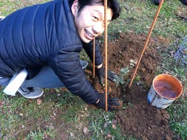 コルク樫の苗の植樹