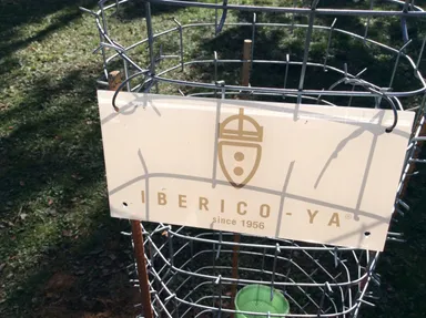 植樹に協力いただいた方のプレート