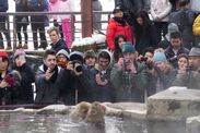 長野県山ノ内町・湯田中温泉でインバウンド観光客が増加　前年比で飲食施設利用者 170％、ホステル宿泊者 150％に