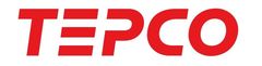 東京電力ホールディングス株式会社、東京電力フュエル&パワー株式会社