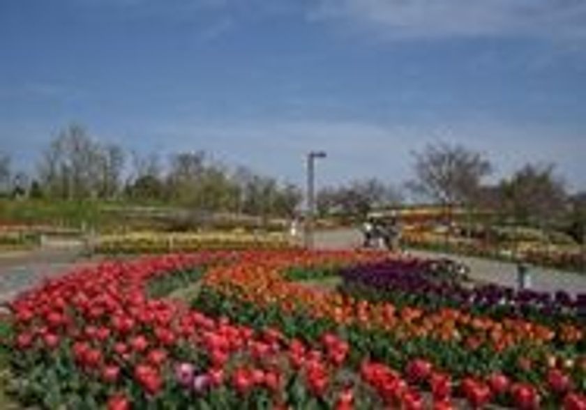 ～ 会員制ハイキング倶楽部～
「近鉄あみま倶楽部３０周年記念ハイキング」を実施します