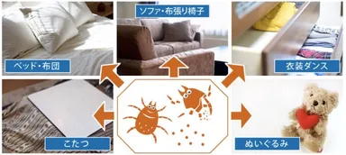ダニが発生しやすい場所