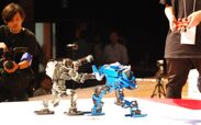 ROBO-ONE誕生の地で開催！二足歩行ロボット格闘競技大会開催