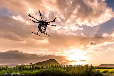 ドローン飛行の様子