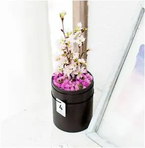 LIFULLFLOWER_サクラ