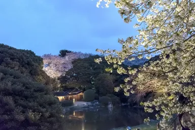 庭園ライトアップ風景