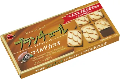 ブランチュールミニチョコレートマイルドカカオ 斜