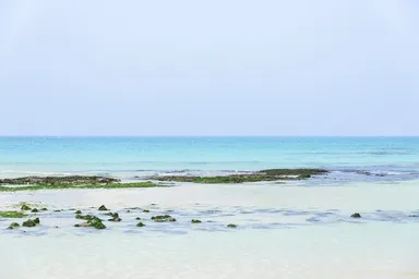 プレスリリース