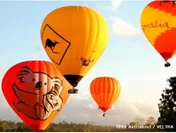 オーストラリア・ケアンズ発 熱気球送迎付きツアー