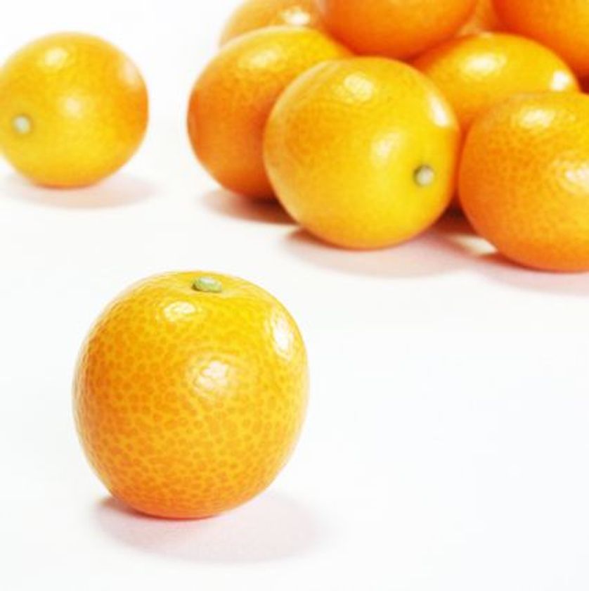 美容と健康に関する最新レポートをmicrodiet.netにて公開　
『小さな金柑に秘められた美容・健康効果とは？』