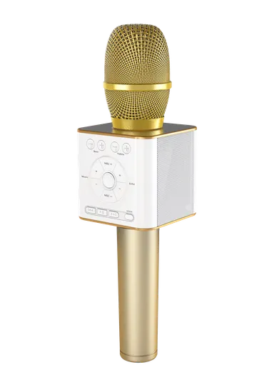 GP-BTDMIC/G(ゴールド)