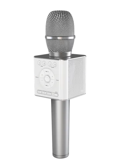 GP-BTDMIC/S(シルバー)