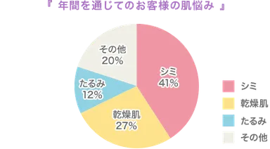 年間を通じたお客様の肌悩み　グラフ