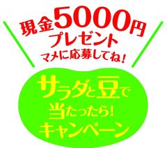 忙しい主婦に朗報！サラダを食べて現金5,000円をゲット!?　『サラダと豆で当たったら！キャンペーン』3月1日から実施