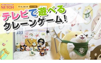 news feed image